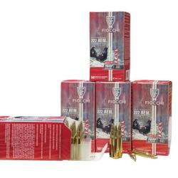 MUNITIONS FIOCCHI HP50 CAL.222REM PAR 250