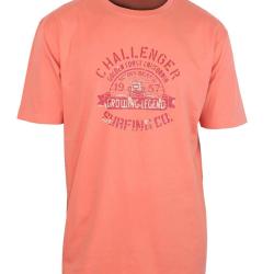 Tee - shirt s&eacute;rigraphie poitrine A2133B 3XL