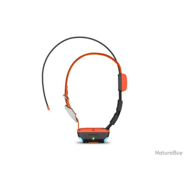 PACK GPS GARMIN ALPHA 200F PLUS T20 VERSION F