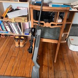 Carabine &agrave; plomb Gamo avec lunette - pr&eacute;cise et fiable