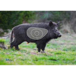 BLASON 2D MOUSSE SANGLIER