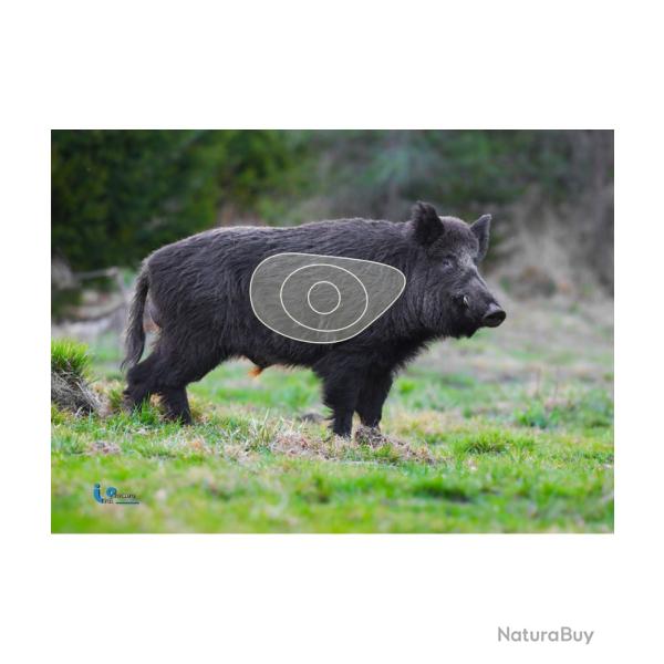 BLASON 2D MOUSSE SANGLIER