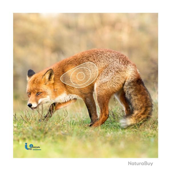 BLASON 2D MOUSSE RENARD