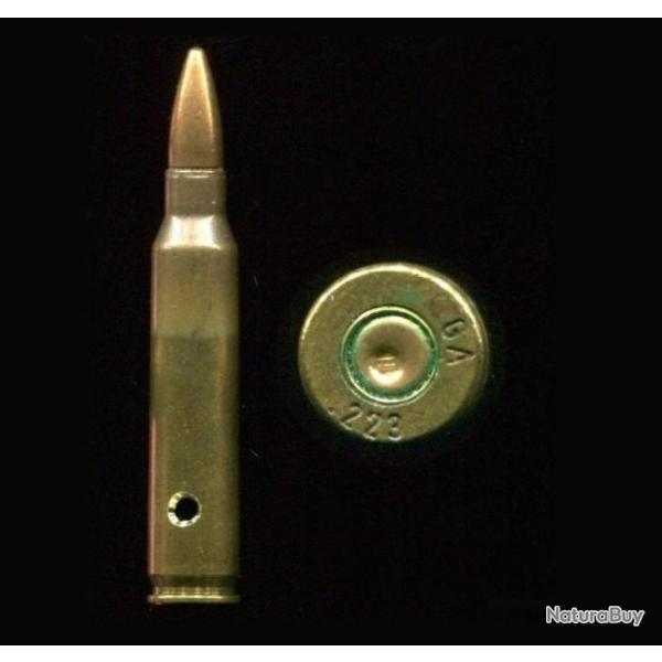 .223 REMINGTON pour M16 - SINGAPOUR en 1971 - marquage cod� = GA 223 - nautra