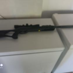 Carabine air comprim&eacute; gamo roaster igt 10x gen 2 + lunette gamo 4x32