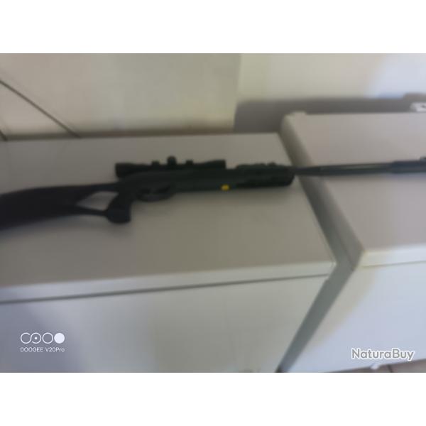 Carabine air comprim� gamo roaster igt 10x gen 2 + lunette gamo 4x32
