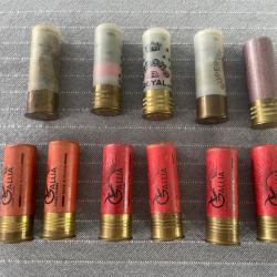 11 chevrotines calibre 12