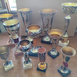Lot de coupes pour comp&eacute;titions sportives