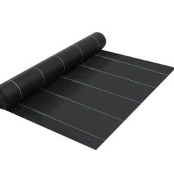 Toile paillage polypropyl&egrave;ne noir 2x5 m anti mauvaises herbes perm&eacute;able