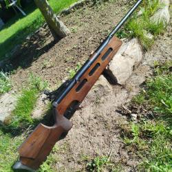 Carabine Diana 75 T01 pour GAUCHER