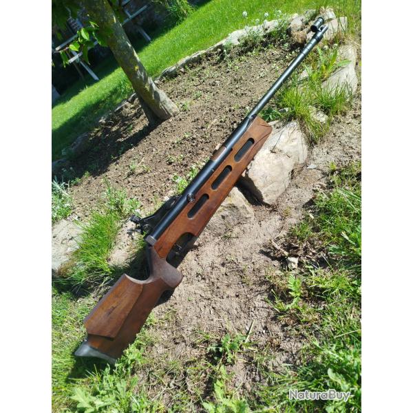 Carabine Diana 75 T01 pour GAUCHER