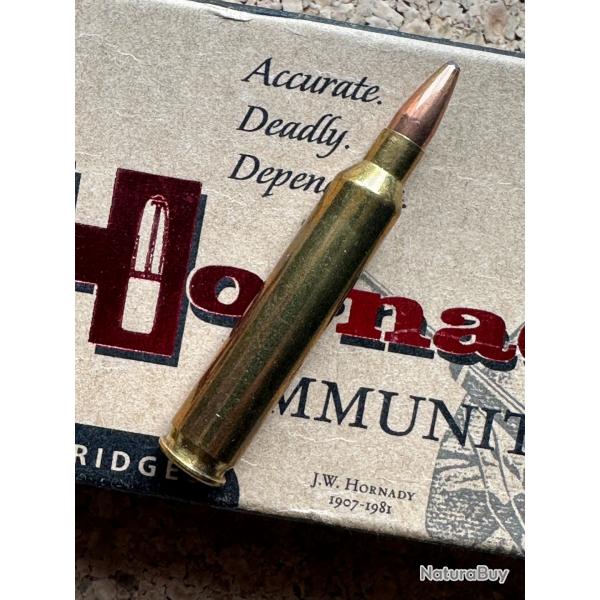 1 boite de cartouche Hornady - 204 Ruger - 45 gr SP