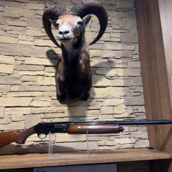 Fusil Browning Gold Hunter Cal 12/76 - 1� Sans prix de r&eacute;serve