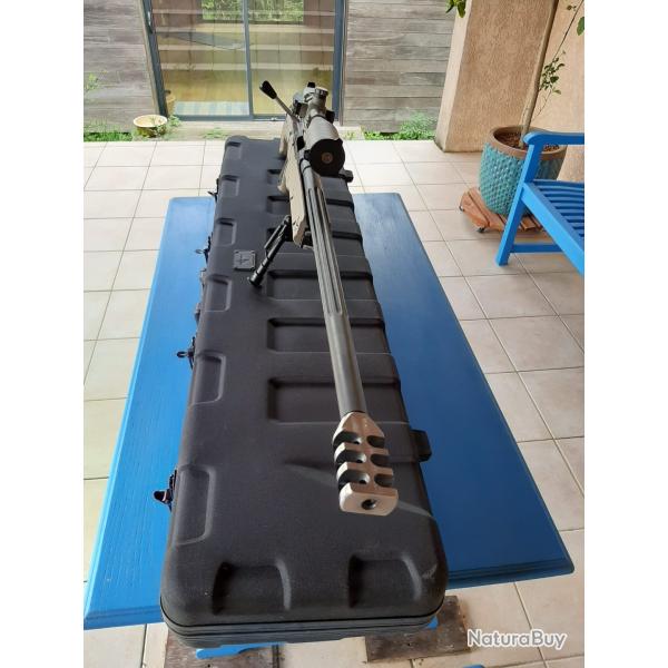 Vends RS1 en 300 Win Mag avec lunette Leupold Mark IV