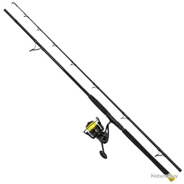 Canne silure BLACK CAT hard core allround 2.7m 200-500gr