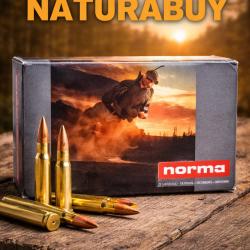 Balles norma.270WSM