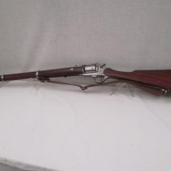 carabine r&eacute;volver L. PERRIN dans son cal 11 mm P3Kg 700errin model 1870     arme de cat&eacute;gorie D