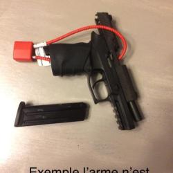 Lot de 2 Cadenas &agrave; c&acirc;ble neuf pour armes de poing ou d'&eacute;paule. Cadenas x2