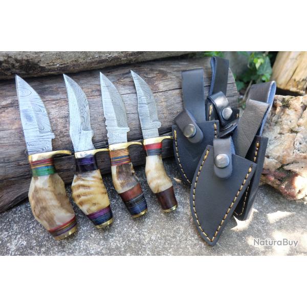 LOT DE 4 Couteau Skinner Damas Lame 256 Couches Manche Corne Blonde de B�lier Fab Artisanale Etui