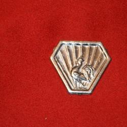 INSIGNE CEF ITALIE-CAMPAGNE D'ITALIE 1942/43-2&deg;WW-VARIANTE METAL NICKELE?