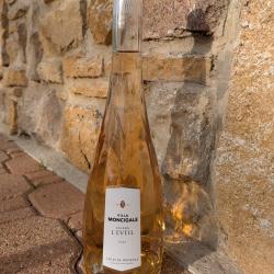 6 bouteilles ros&eacute; : Cotes de Provence Villa Moncigale "Cicada l'&eacute;veil" 2023