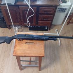 Vend fusil &agrave; pompe