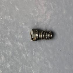 Vis de plaque de recouvrement S&W