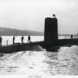 Photographie HMS Ocelot -N&deg;7812