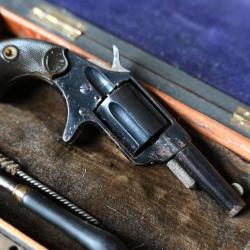 Colt New Line