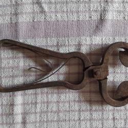 Pince &agrave; castrer les toros