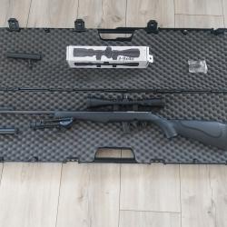 Carabine rossi 8122 22lr