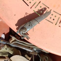 Paire de platines de fusil ancien