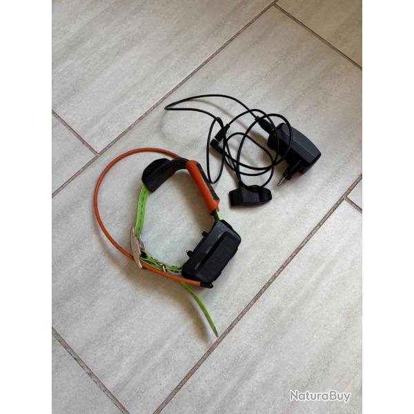 Collier garmin tt15 f