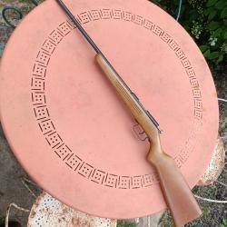 Carabine de jardin 9mm flobert