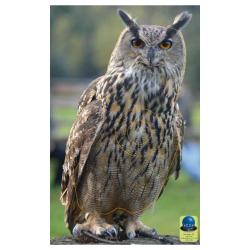 Blasons Nature 185 sur b&acirc;che  - Ai2M