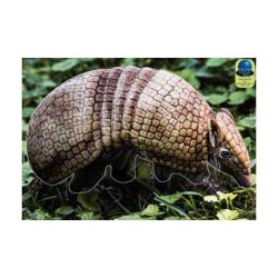 Blasons Nature 308 sur b&acirc;che  - Ai2M