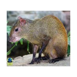 Blasons Nature 351 sur b&acirc;che  - Ai2M