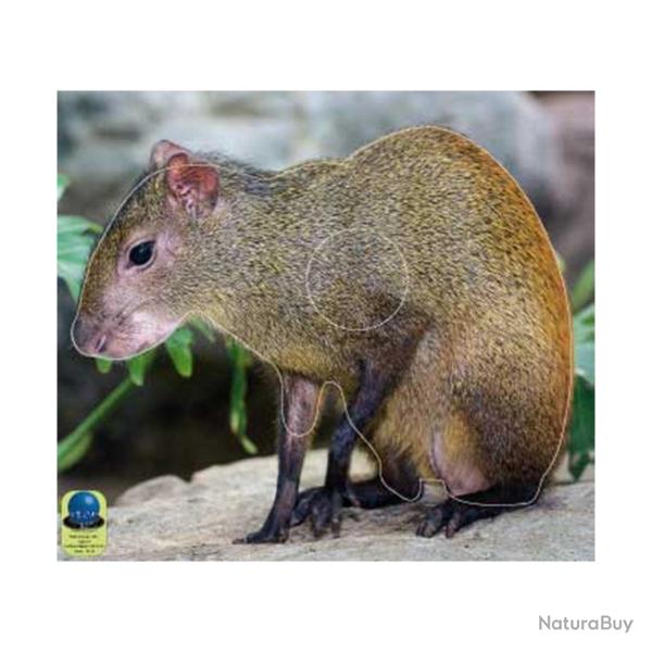 Blasons Nature 351 sur b�che  - Ai2M