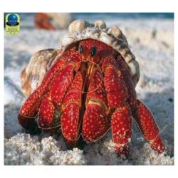 Blasons Nature 352 sur b&acirc;che  - Ai2M