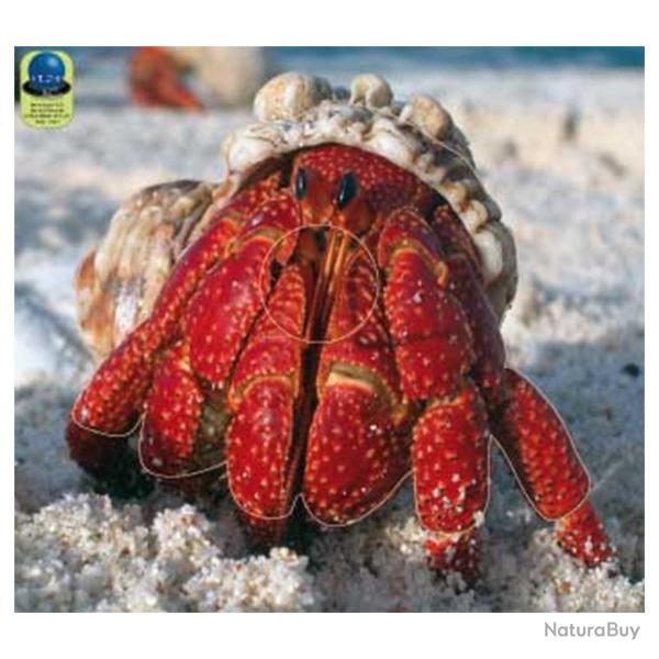 Blasons Nature 352 sur b�che  - Ai2M