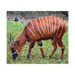 Blasons Nature 574 sur b&acirc;che  - Ai2M