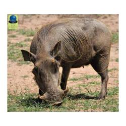 Blasons Nature PG 30 sur b&acirc;che  - Ai2M