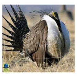 Blasons Nature PG 400 sur b&acirc;che  - Ai2M