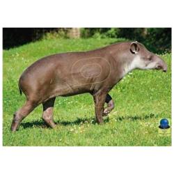 Blasons Nature PG 42 sur b&acirc;che  - Ai2M