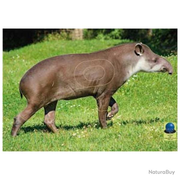 Blasons Nature PG 42 sur b�che  - Ai2M