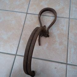 Tr&egrave;s beau col de cygne