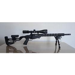 carabine ruger precision rimfire