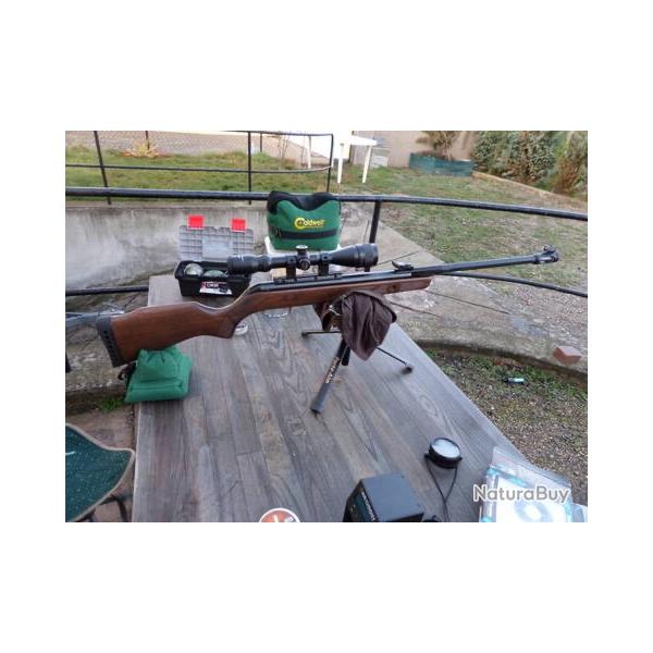 Gamo Hunter 440 as