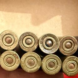 12 Cartouches calibre 11 mm 73 categorie D