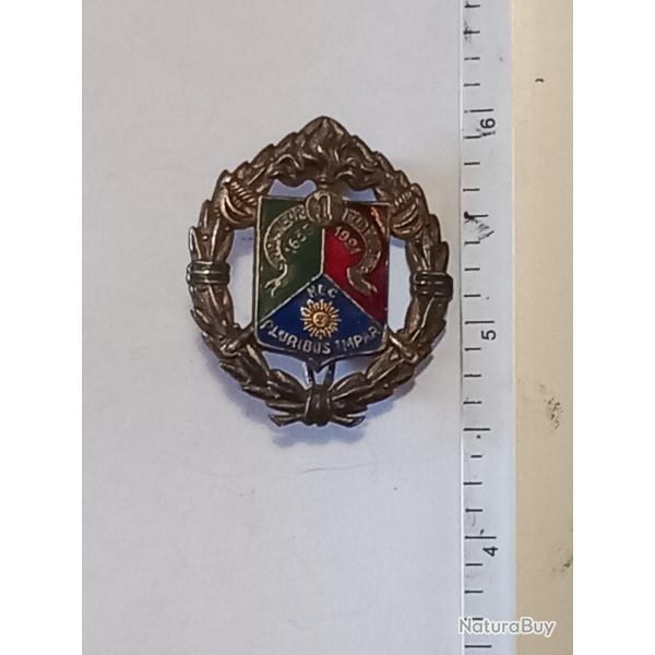 Insigne du 1er r�giment �tranger de cavalerie (1er REC) - Arthus-Bertrand